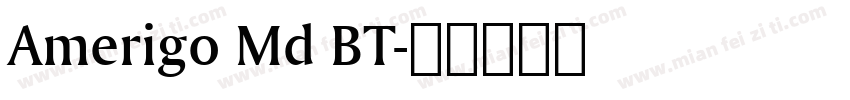 Amerigo Md BT字体转换